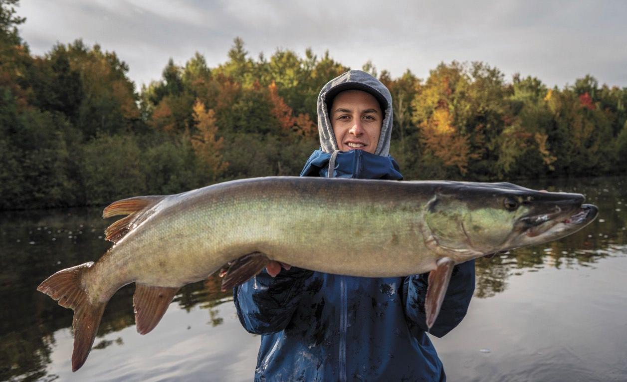 fly fishing 36 inch musky.jpg